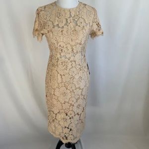 NSR Illusion Waist Lace Sheath Dress Woman’s Size S Cocktail Wedding NWT’S